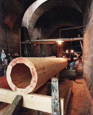 Alberi PHONIX (36 – 31 mt)